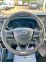 Ford Transit TRASPORTO DISABILI 9 POSTI SOLLEVATORE CARROZZINA Gris - thumbnail 33