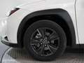 Lexus UX 250h Business 2WD - thumbnail 13