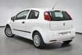 Fiat Punto 1.2 Active Blanco - thumbnail 6
