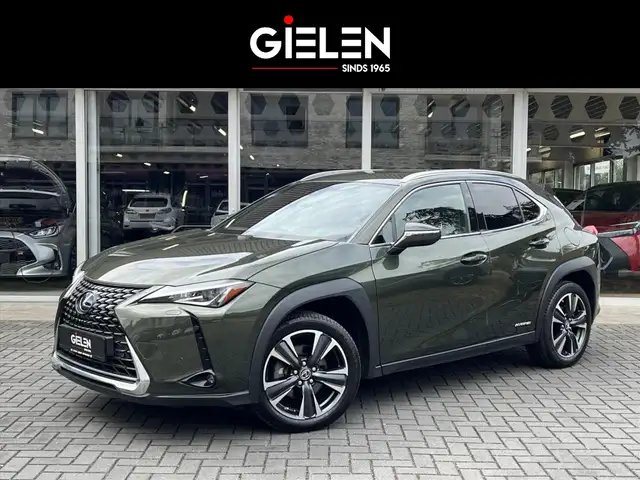 Lexus UX 250h Preference Line | Trekhaak, Dodehoekherkenning, 18