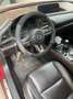 Mazda CX-30 SKYACTIV-X 2.0 M-Hybrid SELECTION Rot - thumbnail 8