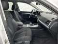 Audi Q5 Quattro+Matrix+Pano+ACC+Keyless+V&H Kam+DAB Weiß - thumbnail 11