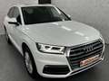 Audi Q5 Quattro+Matrix+Pano+ACC+Keyless+V&H Kam+DAB Weiß - thumbnail 3