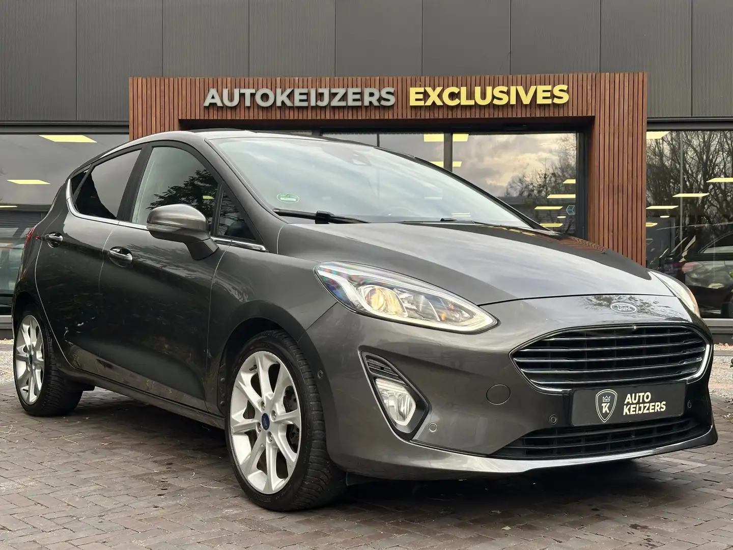 Ford Fiesta 1.0 EcoBoost Titanium Navigatie DAB+ Bang & Olufse Grau - 1