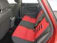Ford Focus 1.6TDCi Titanium Rojo - thumbnail 10
