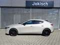 Mazda 3 2.5 e-SKYACTIV G 140PS 6AT HOMURA LED PDC SD-Navi Braun - thumbnail 1