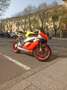 Honda CBR 1000 friabile rr Giallo - thumbnail 5