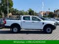 Ford Ranger XL 4x4 Doppelkabine KAMERA|AHK Weiß - thumbnail 7