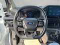 Ford Transit Custom 280 L1H1 LKW VA Trend Laderaumschut Bianco - thumbnail 11
