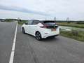 Nissan Leaf Leaf Tekna 40 kWh - Leder / Pilot / 360 / Bose Wit - thumbnail 3