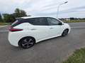 Nissan Leaf Leaf Tekna 40 kWh - Leder / Pilot / 360 / Bose Wit - thumbnail 5