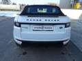 Land Rover Range Rover Evoque 2.0 Dynamic KAMERA/ALLRAD/NAV Blanco - thumbnail 18