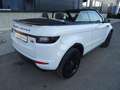 Land Rover Range Rover Evoque 2.0 Dynamic KAMERA/ALLRAD/NAV Blanco - thumbnail 16