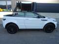 Land Rover Range Rover Evoque 2.0 Dynamic KAMERA/ALLRAD/NAV Blanco - thumbnail 15