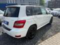 Mercedes-Benz GLK 220 GLK 220 CDI BlueEfficiency 4Matic Panoramadach Wit - thumbnail 3