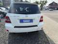 Mercedes-Benz GLK 220 GLK 220 CDI BlueEfficiency 4Matic Panoramadach Wit - thumbnail 4