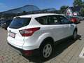 Ford Kuga 1,5 EcoBoost Trend Weiß - thumbnail 3