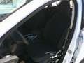 Ford Kuga 1,5 EcoBoost Trend Weiß - thumbnail 18