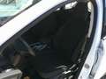 Ford Kuga 1,5 EcoBoost Trend Weiß - thumbnail 20