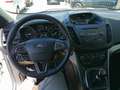 Ford Kuga 1,5 EcoBoost Trend Weiß - thumbnail 10
