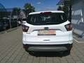 Ford Kuga 1,5 EcoBoost Trend Weiß - thumbnail 4