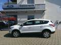 Ford Kuga 1,5 EcoBoost Trend Weiß - thumbnail 2
