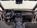 Alfa Romeo Stelvio Stelvio 2.2 Turbodiesel 210 CV AT8 Q4 Veloce Tì Wit - thumbnail 6