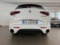 Alfa Romeo Stelvio Stelvio 2.2 Turbodiesel 210 CV AT8 Q4 Veloce Tì Wit - thumbnail 5