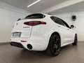 Alfa Romeo Stelvio Stelvio 2.2 Turbodiesel 210 CV AT8 Q4 Veloce Tì Wit - thumbnail 3
