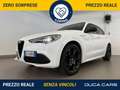 Alfa Romeo Stelvio Stelvio 2.2 Turbodiesel 210 CV AT8 Q4 Veloce Tì Wit - thumbnail 1