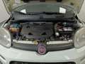 Fiat Panda Panda 0.9 TwinAir Turbo Natural Power Easy Blanc - thumbnail 20