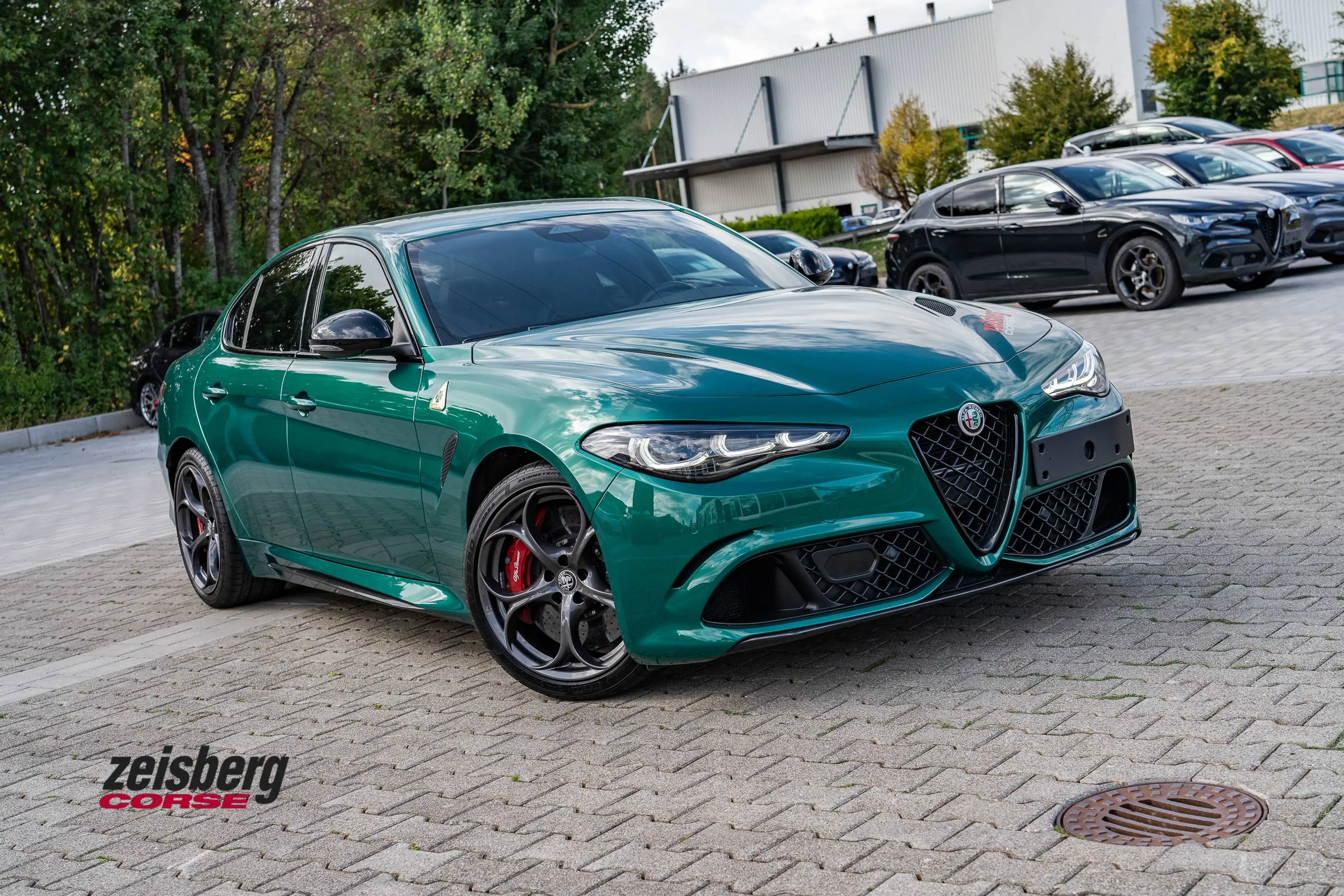 Alfa Romeo Giulia QV MY24 2.9l Keramik*Sparco AR Vertragshä — photo 3