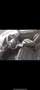 Audi A4 2.0TDI Multitronic DPF - thumbnail 4