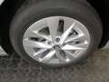 Skoda Octavia Selection TDI DSG Silber - thumbnail 24