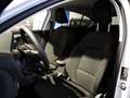 Ford Focus Titanium X 125PS/RÜCKFAHRKAMERA/ALLWETTERREIFEN Weiß - thumbnail 13