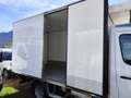 Mercedes-Benz Sprinter 417 CDI T 37/35  cella isotermica * Bianco - thumbnail 6