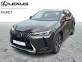 Lexus UX 250h Executive Line Zöld - thumbnail 1