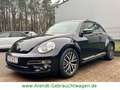 Volkswagen Beetle Allstar *SHZ/PDC/Navi* Black - thumbnail 1