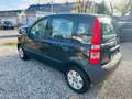 Fiat Panda 1.1 8V Active Schwarz - thumbnail 5