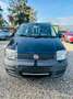Fiat Panda 1.1 8V Active Schwarz - thumbnail 3