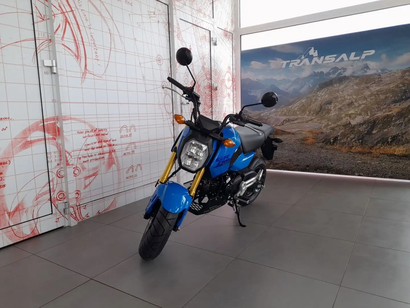 Honda MSX 125 Crom Bleu - 2