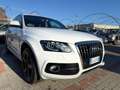 Audi Q5 Q5 3.0 V6 TDI quattro S tronic 239 CV S-LINE .TETT Bianco - thumbnail 7