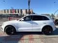Audi Q5 Q5 3.0 V6 TDI quattro S tronic 239 CV S-LINE .TETT Bianco - thumbnail 3