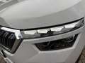 Skoda Kamiq 1.0 TSI DSG CLEVER *LED *TEMPO *VIRTUAL *DAB *SHZ Grigio - thumbnail 6