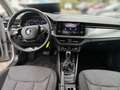 Skoda Kamiq 1.0 TSI DSG CLEVER *LED *TEMPO *VIRTUAL *DAB *SHZ Grigio - thumbnail 10
