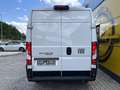 Fiat Ducato 35+ L2H2 BlueHDi 140 S&S!TOP AKTION! Weiß - thumbnail 4