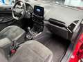 Ford EcoSport ST-Line*DAB*Klima*Navi*Bi-Xenon* Rood - thumbnail 12