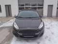 Ford Fiesta Fiesta Titanium 1,5 TDCi Titanium Grau - thumbnail 1