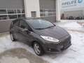 Ford Fiesta Fiesta Titanium 1,5 TDCi Titanium Grau - thumbnail 2