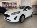 Ford Fiesta Plus  1.1 Plus rif.FN919 Bianco - thumbnail 8
